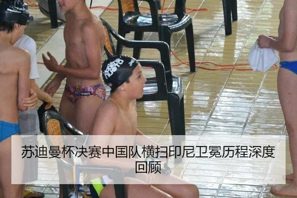 苏迪曼杯决赛中国队横扫印尼卫冕历程深度回顾